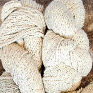 50/50 Shetland Bunny
