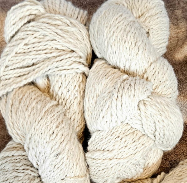50/50 Shetland Bunny
